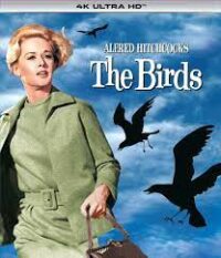 ดูหนังออนไลน์ฟรี The Birds นก นก นก (1963)